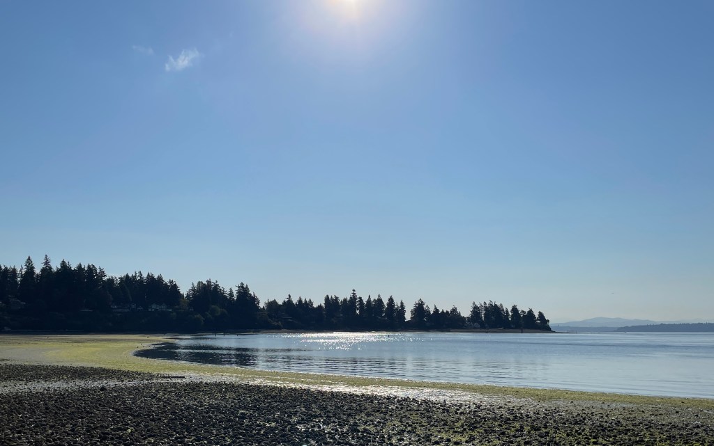 What Are Borders? British Geographers, World War I, and the Concept of a&nbsp;Border